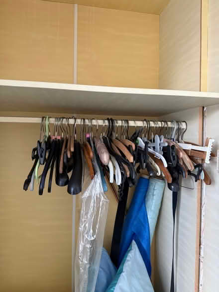 Photo of free Coat hangers (Norton Lees S8) #3