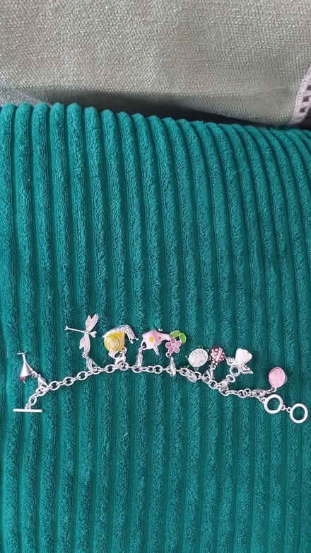 Photo of free Bracelet with cute charms (dorset BH12) #1