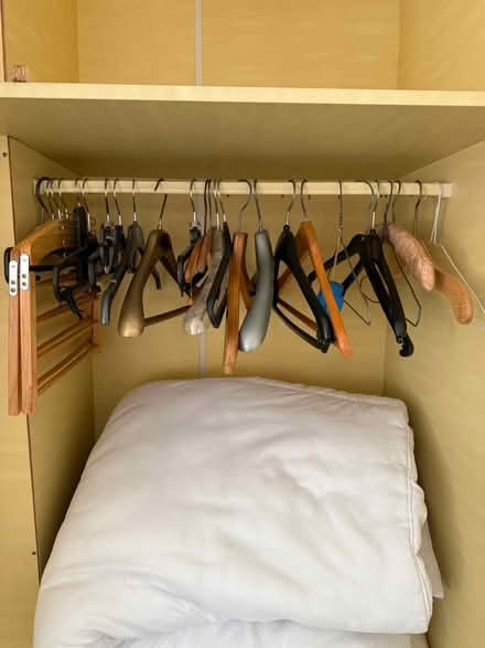 Photo of free Coat hangers (Norton Lees S8) #2