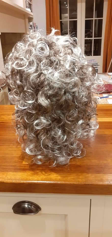 Photo of free Fancy dress/am-dram wig (GL6 (Chalford)) #1