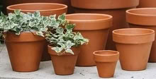 Photo of Samll plant pots (Littleworth OX33) #1