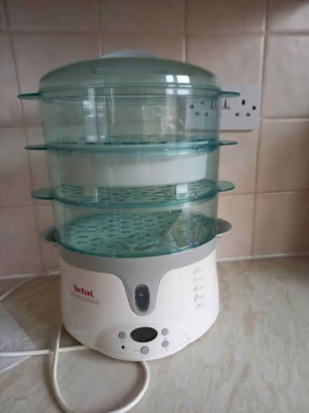 Photo of free Electric steamer. (Wildwood ST17) #1