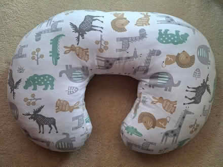 Photo of free Nursing pillow (GL50) #1