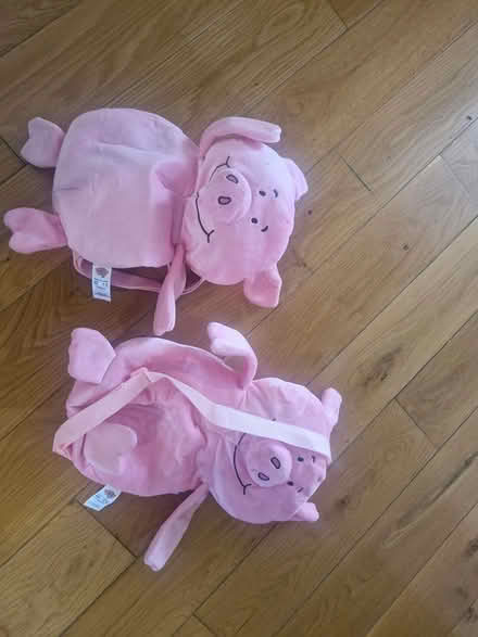 Photo of free Pink Piggy Bags (D18E0K6) #2
