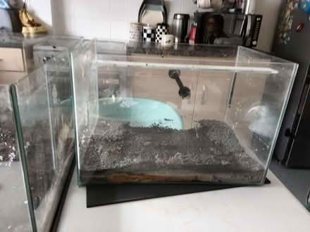 Photo of free Fish tank #2 (Manchester u M19) #1