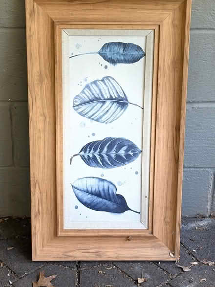 Photo of free Garden Items (Phoenixville) #4
