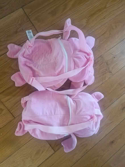Photo of free Pink Piggy Bags (D18E0K6) #1
