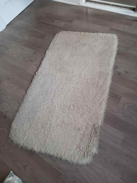Photo of free Sheepskin rug (St. Agnes TR5) #2