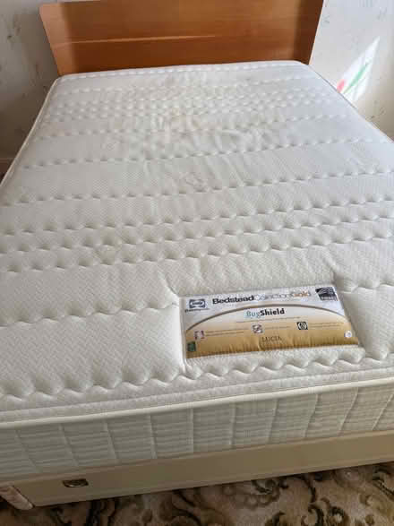 Photo of free Double bed (Norton Lees S8) #1