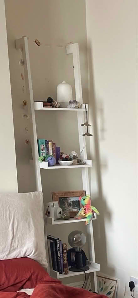 Photo of free Ladder shelves (Levenshulme M19) #3