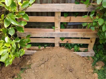 Photo of free Quality Pallet (Bexhill on Sea) #2
