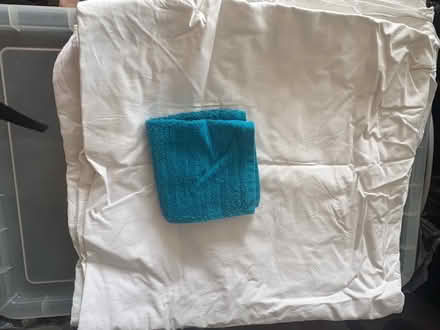 Photo of free dust mite protector for mattress (Dorking. RH4) #2