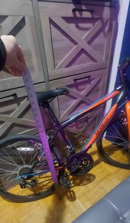 Photo of free Bike (Etobicoke/Mississauga border) #4