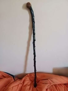 Photo of Blackthorn Walking Stick (Raf Wyton PE28) #1