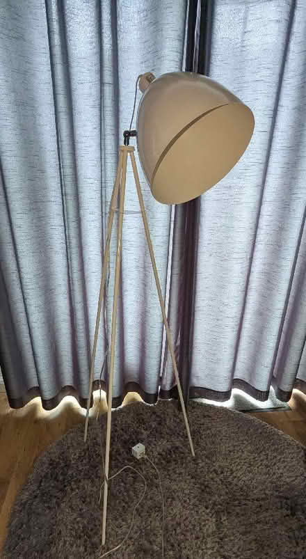 Photo of free floor lamp (Napsbury AL2) #1