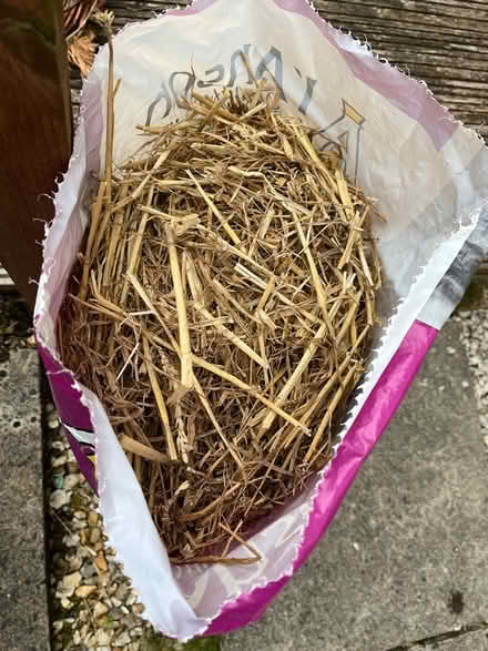Photo of free Full bag of straw (PR2, Preston) #1
