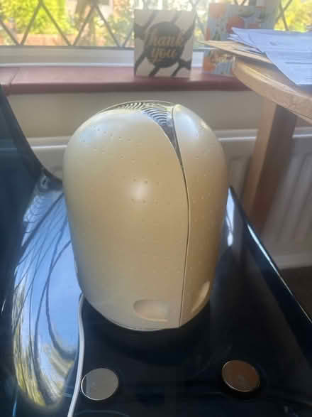 Photo of free Mould zapper (Dorking. RH4) #1