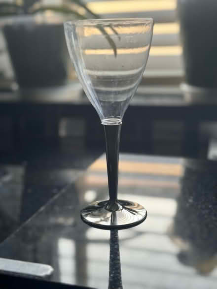 Photo of free Disposable BBQ Wine Glasses (South Norwood SE20) #3