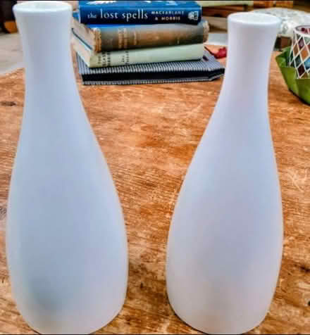 Photo of free Two Bud Vases (Earley RG6) #2