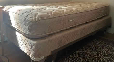 Photo of free Single Bed Box Springs & Mattresses (Island Creek Road Duxbury) #1