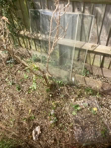 Photo of free Glass (Oxford OX3) #1