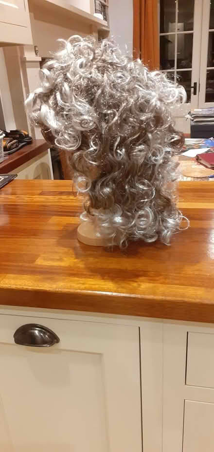 Photo of free Fancy dress/am-dram wig (GL6 (Chalford)) #2