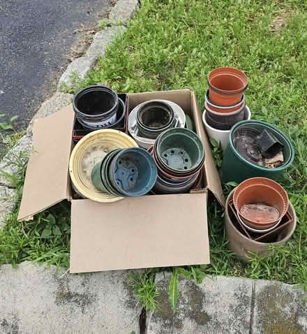 Photo of free Plant pots (Medford ma) #1