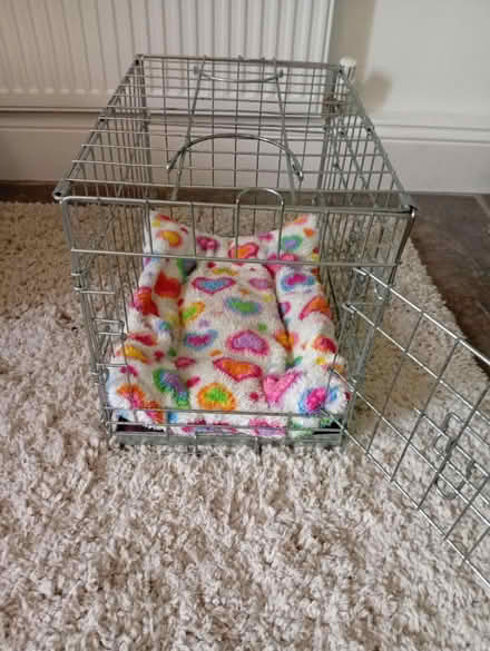 Photo of free Small dog cage & cushion (Buxworth SK23) #2