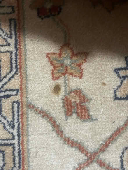 Photo of free Rug (SW1V 4ET) #3