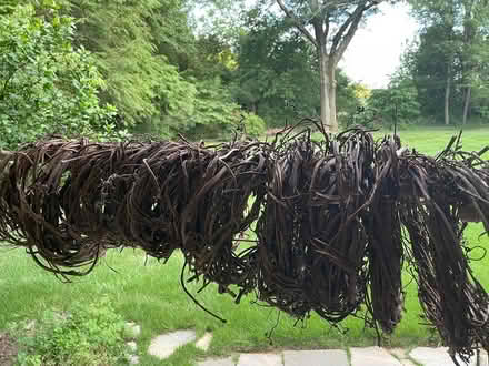 Photo of free Grapevine wreaths (Savage MD 20763) #1