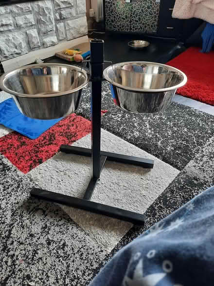 Photo of free Raised dog feeder (EH14, Currie) #2