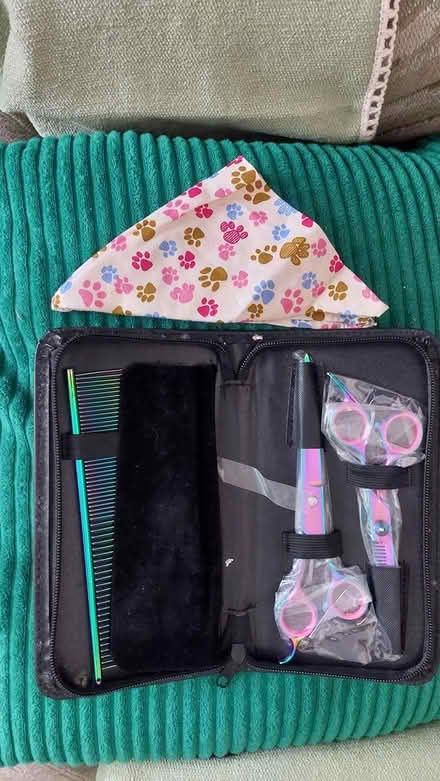 Photo of free portable dog grooming set (dorset BH12) #1