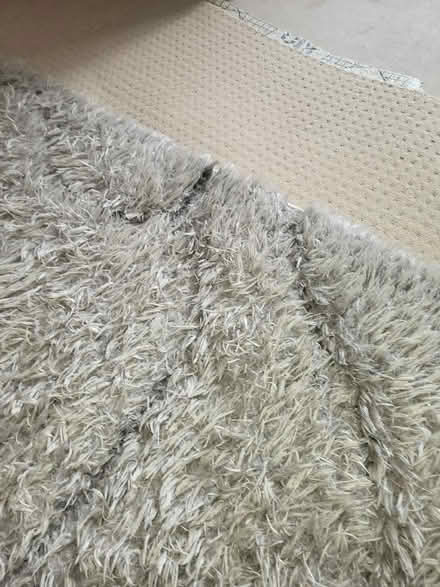 Photo of free Silver rug (Matlock DE4) #4
