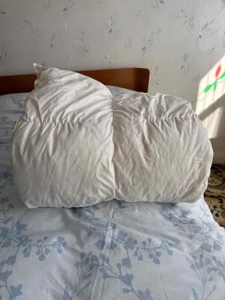 Photo of free Feather duvet (Norton Lees S8) #2
