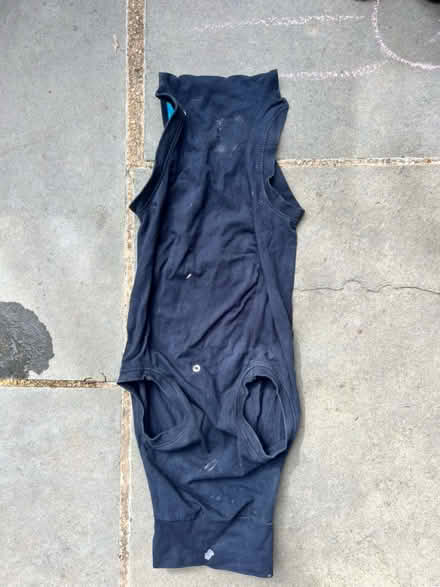 Photo of free Dog sweater post operative (Risinghurst OX3 8) #3
