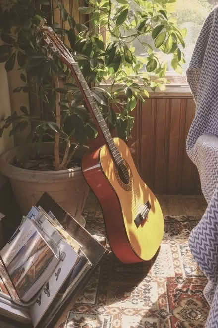 Photo of Guitar (Knighton LD7) #1