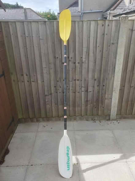 Photo of free Paddles (Great Baddow CM2) #1