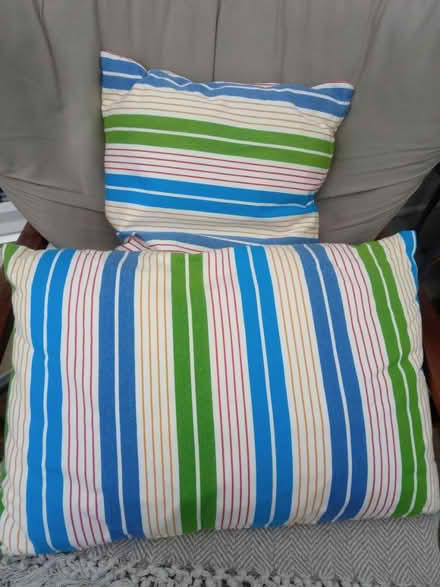 Photo of free Cushions (Horsham, near Bennetts Field) #1