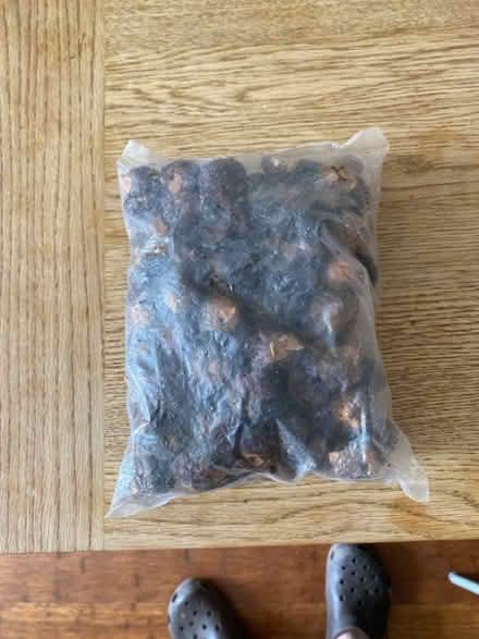 Photo of free Soap Nuts (Wallands Park BN7) #1