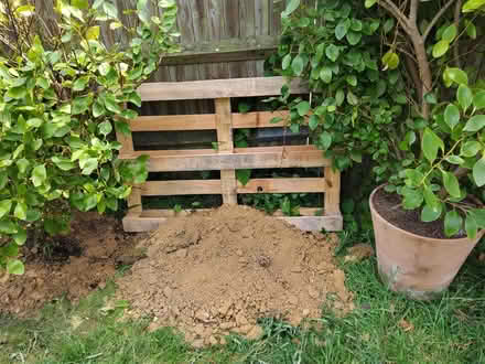 Photo of free Quality Pallet (Bexhill on Sea) #1