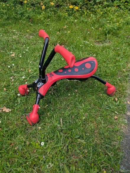 Photo of free Red and black Scramblebug (Oakfield SG4) #1