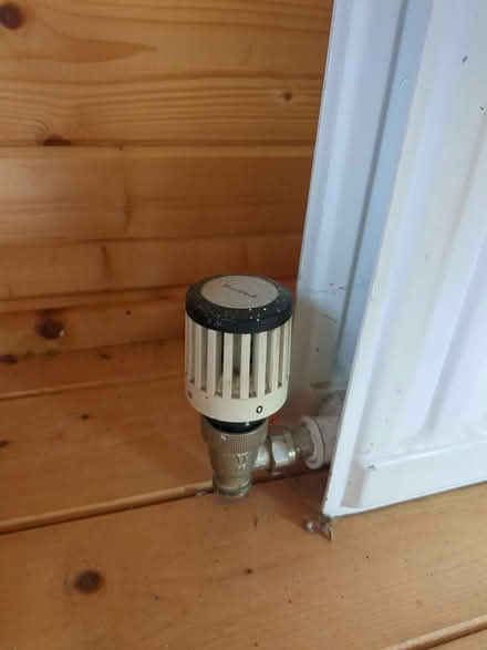 Photo of free 145cm x 60cm Radiator (St George, Bristol BS5 7) #3