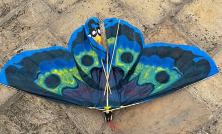 Photo of free 2 kites (Leckhampton GL53) #2