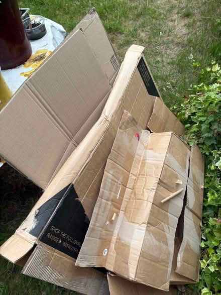 Photo of free Gardening pots, seed trays, trellis cut offs and cardboard (Tolworth KT6) #4