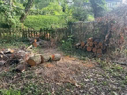 Photo of free Fire wood (Glendale) #1