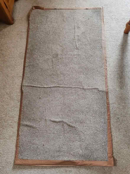 Photo of free Carpet Mats (Abbey Lane Area LE4) #2