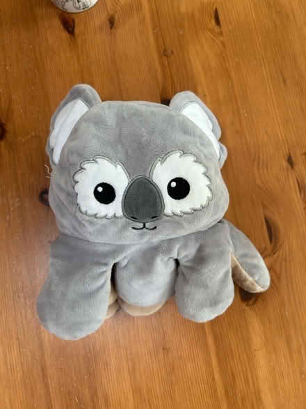 Photo of free Two soft toy/teddies (Shenley Fields B29) #4