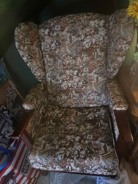 Photo of free Lounge chair (CT20) #2