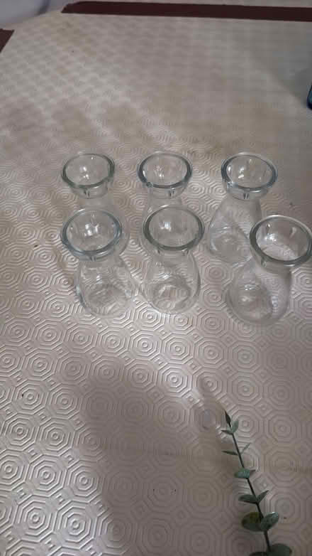 Photo of free Vases (Tonbridge TN9) #1