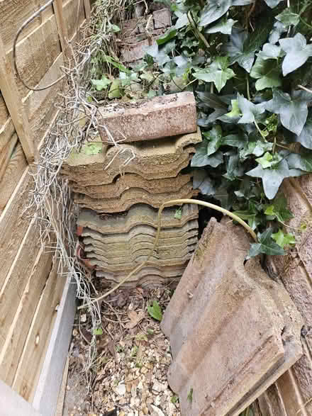 Photo of free Roof tiles and bricks (Curdridge) #2